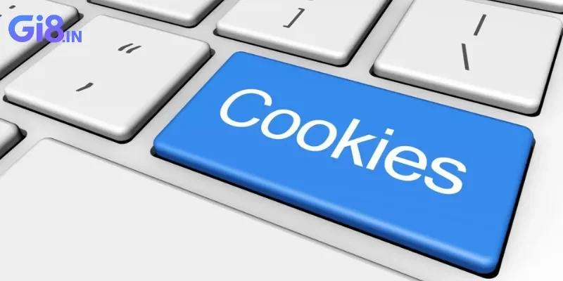 Chính sách bảo mật 4 Quy định về việc sử dụng cookie trên website GI8